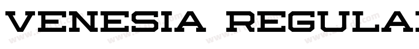 Venesia Regular字体转换